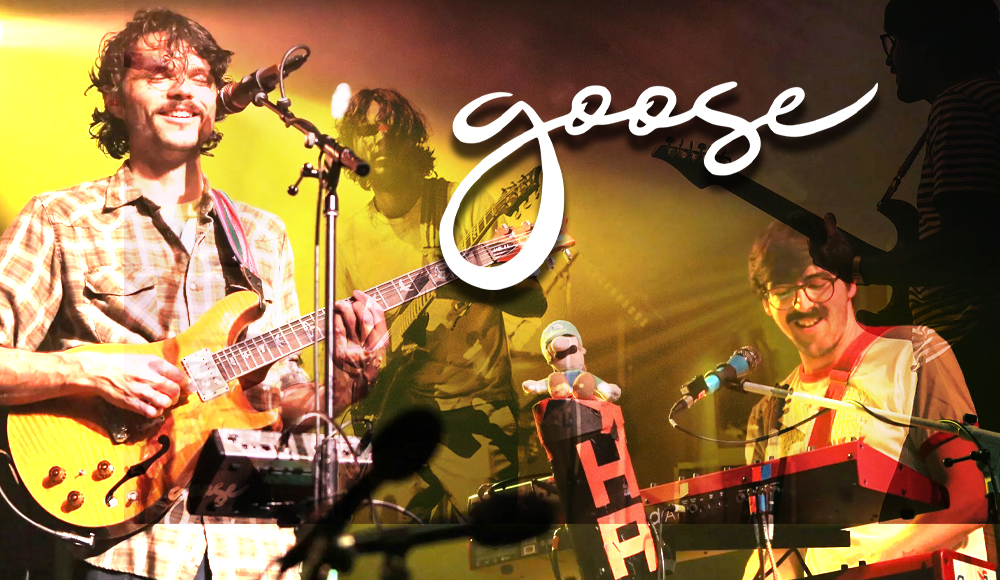 Goose tickets