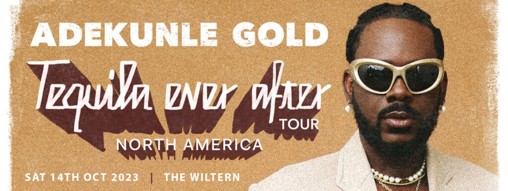 Adekunle Gold at The Wiltern