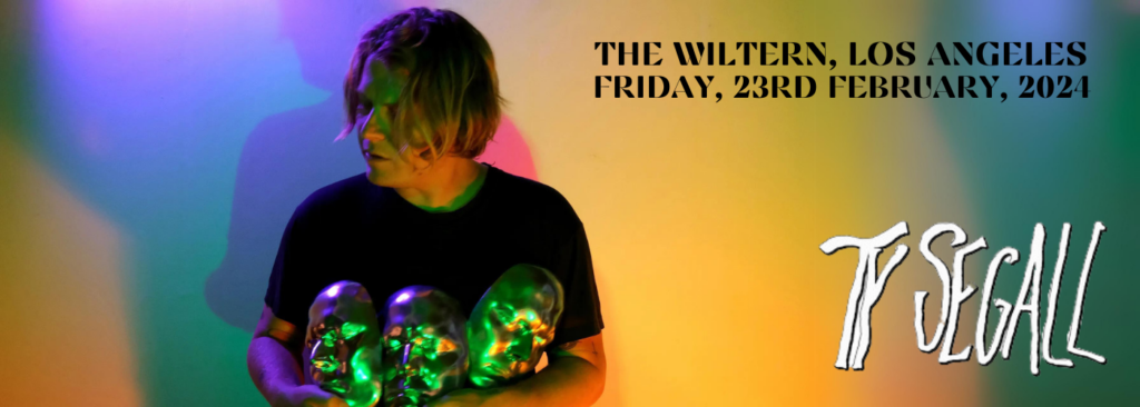 Ty Segall at The Wiltern